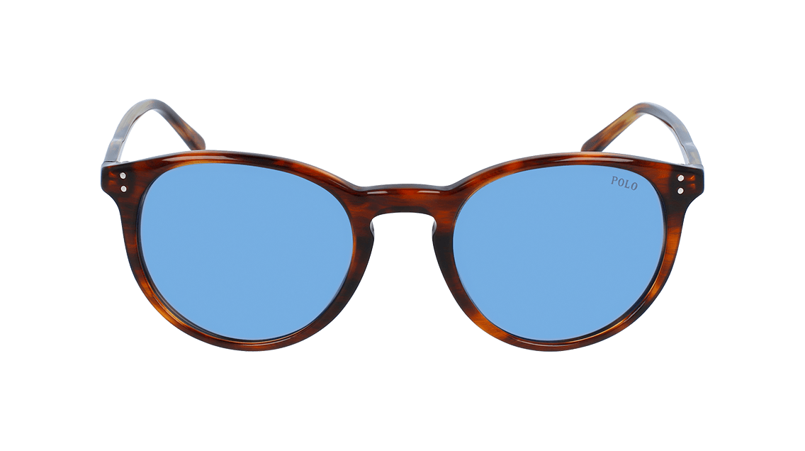 Polo 4110 sunglasses cheap